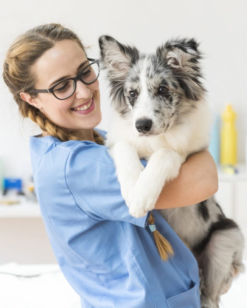 close-up-smiling-young-female-veterinarian-carrying-dog-clinic