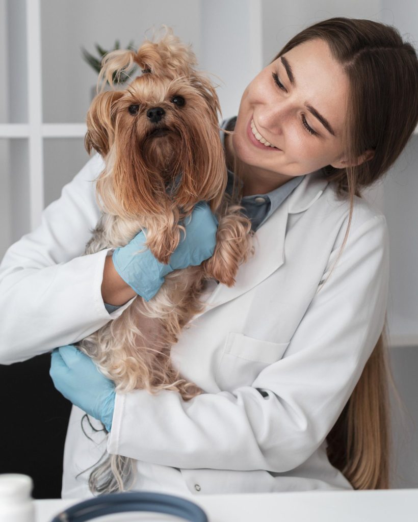 Veterinário cuidando de pet